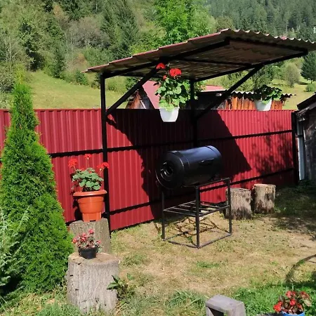 затишок карпат *