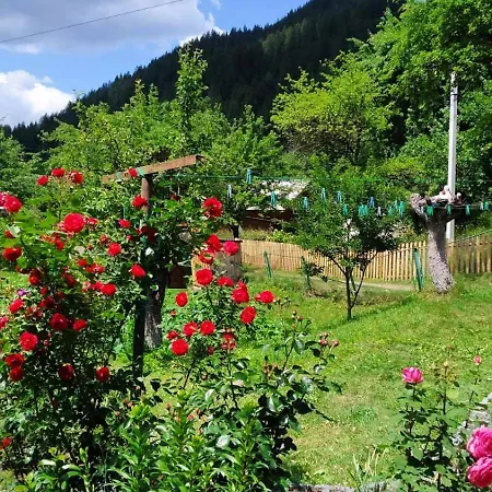 Vendégház затишок карпат Prelyuchka